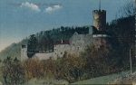 Oensingen, Neu-Bechburg (2502A)