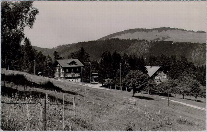 Brunnersberg, Pension Waldheim (3803)